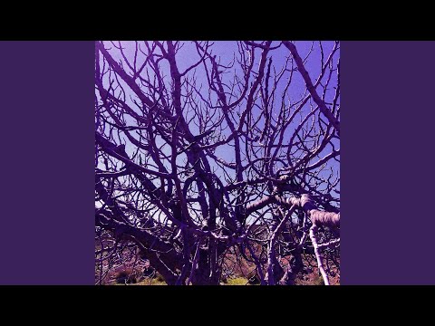 Video thumbnail for Africa