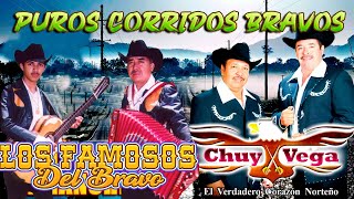 Los Famosos Del Bravo, Chuy Vega - 20 Exitos Puros Corridos Bravos