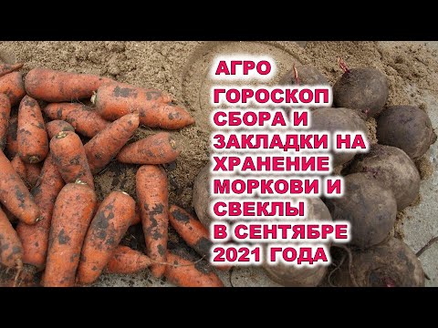 , title : 'Агрогороскоп сбора урожая и закладки на хранение свеклы и моркови в сентябре 2021 года'
