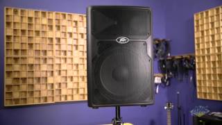Video thumbnail for Peavey PVX15 2-Way PA Speaker - Peavey PVX15 by American Musical Supply