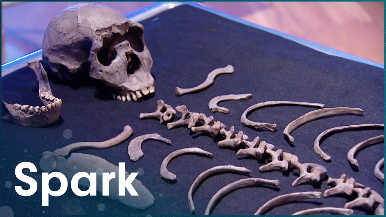 Prehistoric Autopsy: Rebuilding Turkana Boy