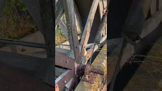 Greasing the dodge bearings #oregon #waterwheel #explore #oregontrail #dodge #youtubeshorts #dodge
