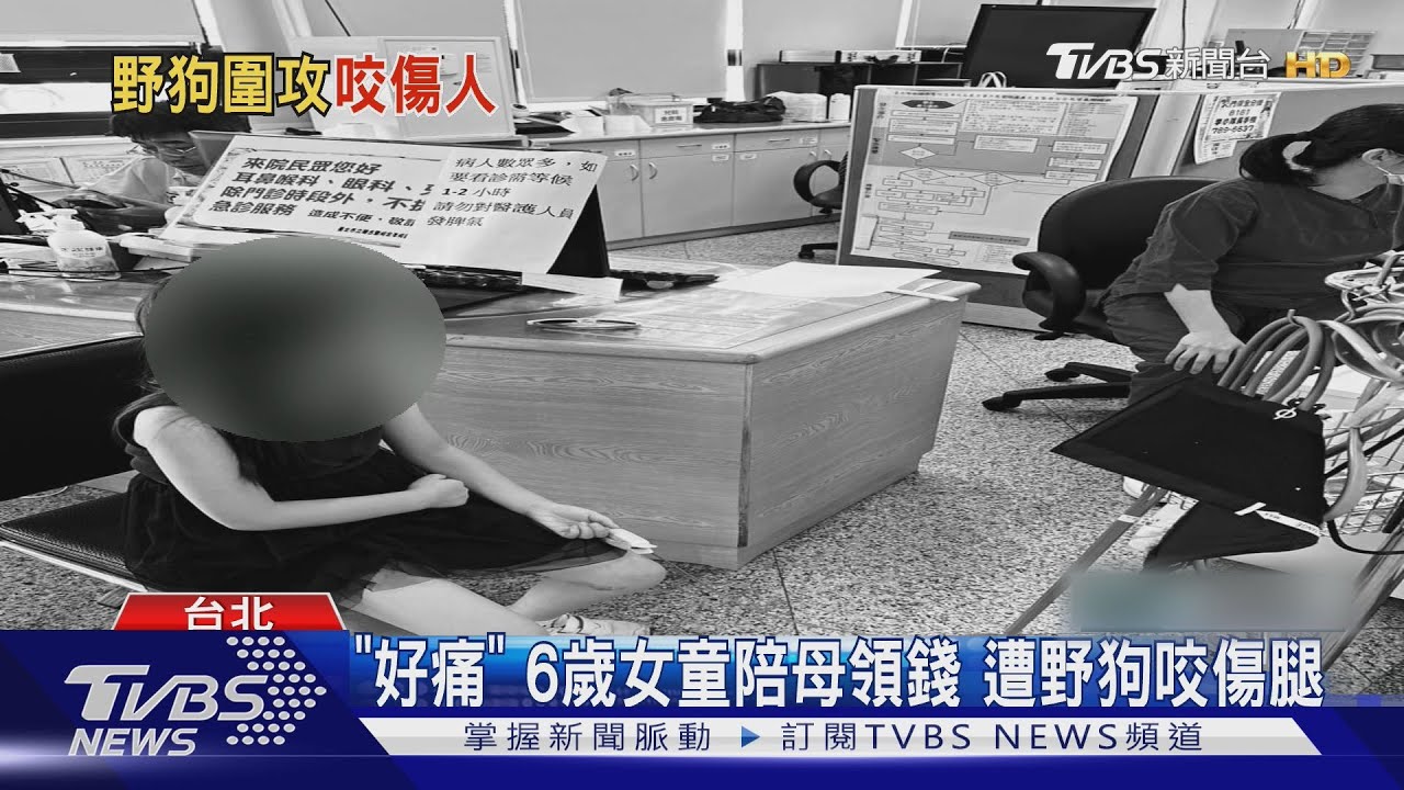 「好痛」6歲女童陪母領錢 遭野狗咬傷腿