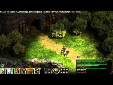 Pillars of Eternity: The White March Parts 1 & 2 || Let's Play - Episode 5