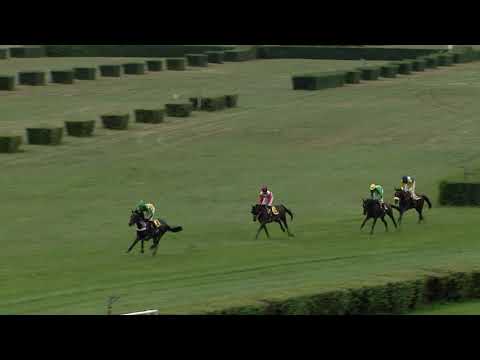 MO, 30. 8. 2020, 6. dostih - CHARVÁT CTS Velká mostecká steeplechase 2020