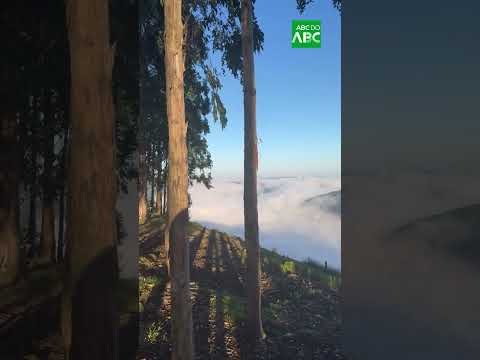Lugar no RS surpreende por parecer ficar acima das nuvens