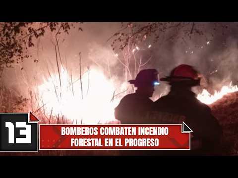 Bomberos combaten incendio forestal en El Progreso