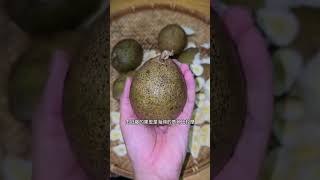 神奇球形毒虎藤果實探秘 -你見過這樣的鱗狀種子嗎?#毒虎藤 #奇異果實 #大自然奇蹟 Uncovering the Mysterious Globe-Shaped Toxic Tuber Fruit