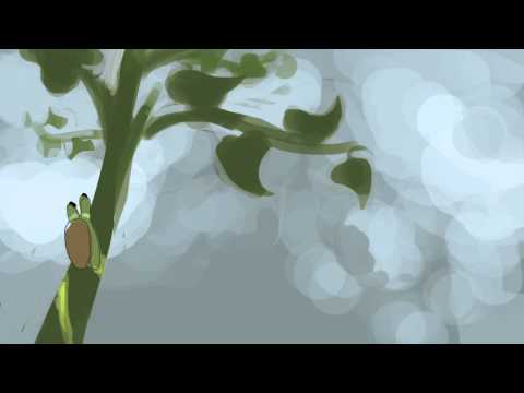 leucochloridium paradoxum