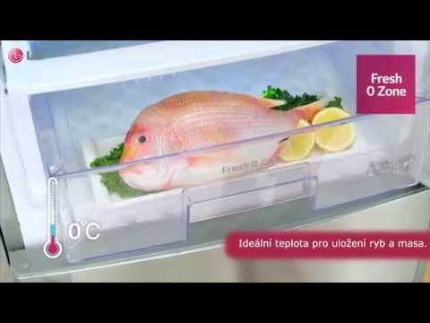 Холодильник LG GC-B509SLCL