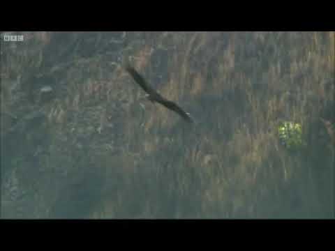 Kolasib Sub-Hqrs. YMA Zaipawl (2014-2016) - Maurua/Tukloh ram