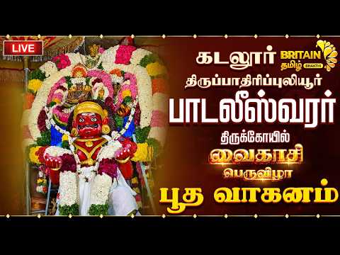 🔴LIVE - கடலூர்-பாடலீஸ்வரர் திருக்கோயில் வைகாசி பெருவிழா பூத வாகனம்|cuddalore padaleeswar koil