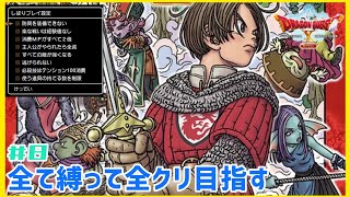 人間でもオーガでも結局は半裸でした。今回は過去編！！【ドラゴンクエストⅩ 目覚めし五つの種族　オフライン】#8