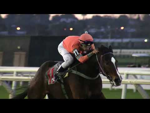 230528 c09 - ASHLEIGH - HIPODROMO DE MAROÑAS