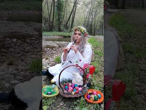 Florisika dn gradjine