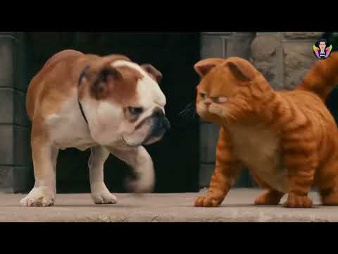 Garfield Movie Scene in gy | Part - 3 | Tamil dubbed movie | Movie Clip