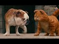 Garfield Movie Scene In Gy Part 3 Tamil Dubbed Movie Movie Clip