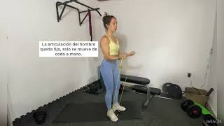 Curl de bíceps con goma