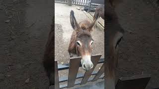 Download lagu Refreshing di The Nice Park Bandung mp3 Download lagu Refreshing di The Nice Park Bandung mp3