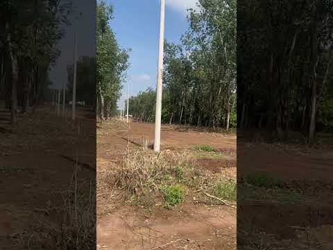 Tel:4706-3369 Cuyotenango Suchitepequez Guatemala, reserve su terreno Q1,000 y DPI