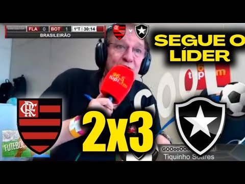 REAÇÕES SHOW DA VITÓRIA DO FOGÃO | FLAMENGO 2X3 BOTAFOGO [CAMPEONATO BRASILEIRO SÉRIE A 2023]