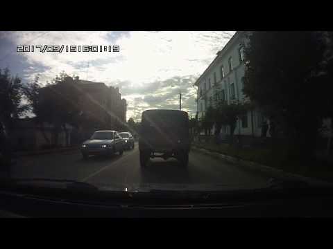 Перебежала дорогу прямо под колёса автомобиля