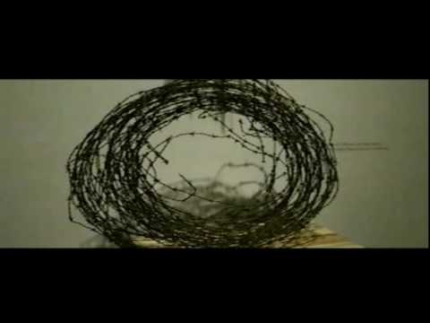 feliza bursztyn.U central