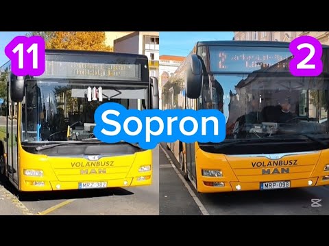Sopron #2 | 1-es, 11-es és a 2-es helyi járat