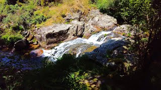 10 Minutes Relax - Tranquil Waterfall Cascading Gently Over Rocks in the Middle of the Forest 🌿🌊🍃