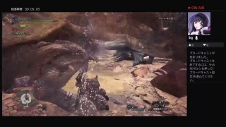 【MHW】今日も仲良し兄弟でモンハンワールド！［弟視点］