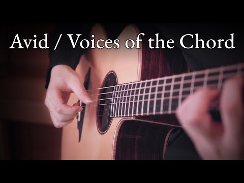 Avid / Voices of the Chord - 86 Eighty Six ED (Fingerstyle Guitar)