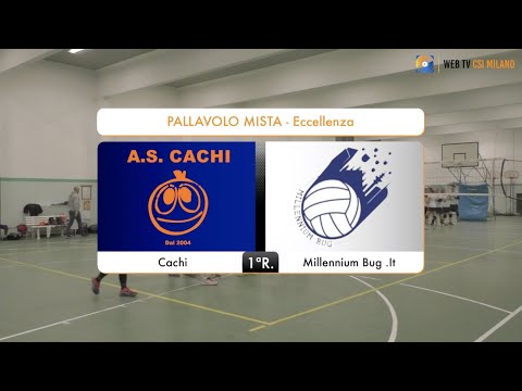 Sintesi Cachi - Millennium Bug .It