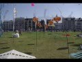 Dieppe Kite Festival 2012 Fotoshow Fotos Are Made By Andreas From Germany