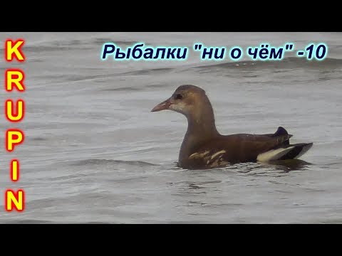 Рыбалки 'НИ О ЧЁМ'. Выпуск 10. Шатурские озёра.