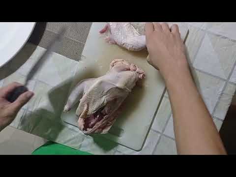 10 Different types of cut of the Chicken