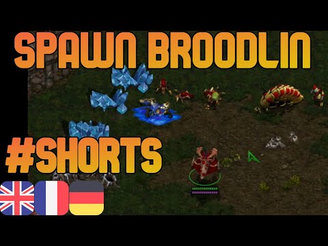 Queen's Spawn Broodling affects all ground units with the exceptions of #Shorts #BroodWar