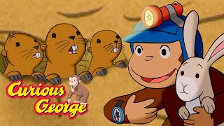 Run Away Gophers! 🐵 Curious George 🐵 Kids Cartoon 🐵 Kids Movies