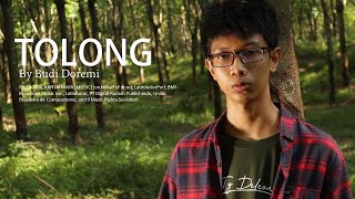 Download lagu Budi Doremi - Tolong mp3