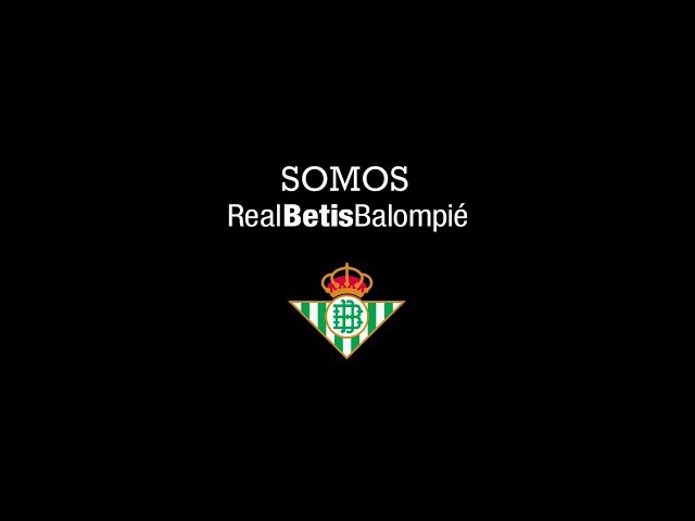 Vídeo relacionado con Real Betis Balompié Sudadera con Capucha Unisex Adulto Grey S