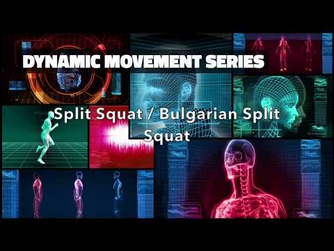 USG Dynamic Movement Series - Split Squat / Bulgarian Split Squat
