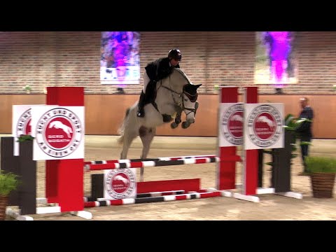 Toucento *2018 by Toulon x Cento | Sosath Stallion Show 2022
