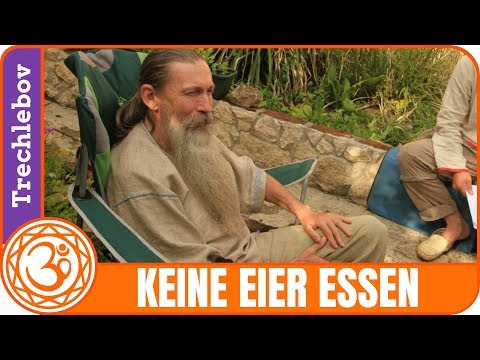 A. V. Trechlebov - Hühner-Menstruation - Eier essen oder auf Eier verzichten?