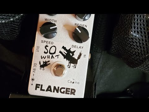 Caline CP-66 So What Flanger 2019 - Present - White image 6