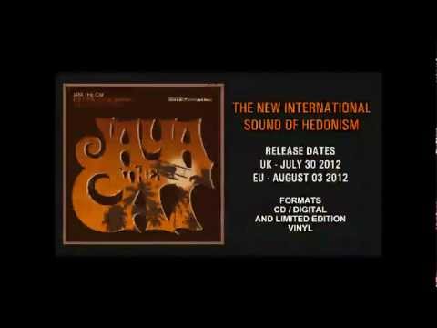 JAYA THE CAT - TRACK BY TRACK: THIS COULD ALL GO SO HORRIBLY WRONG