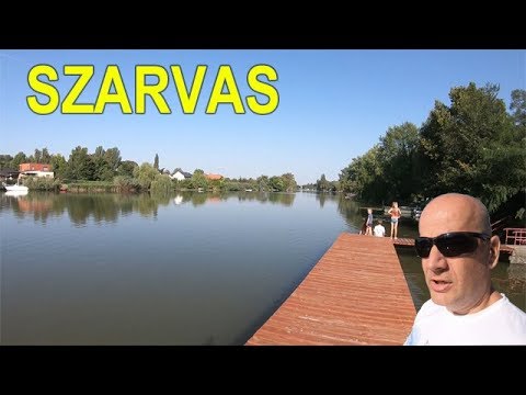 Szarvas, 2 km open water swimming