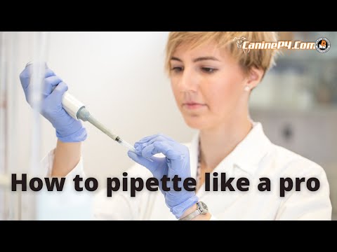 How to Pipette like a pro | It makes a HUGE difference!