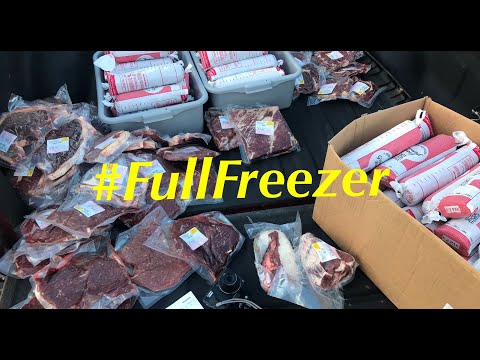 Freezer FULL of Homegrown beef [Cost, Cuts and...