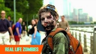 Prions: The Real Zombie-Makers