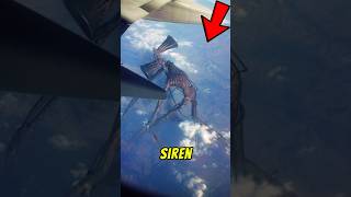 Download lagu TOP 3 Creepiest Siren Head Sounds Ever Recorded 😱📣 mp3