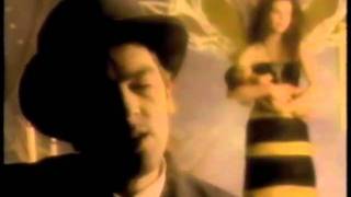 Robyn Hitchcock &quot;Madonna of the Wasps&quot;